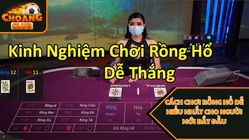 Khám Phá Cách Chơi Rồng Hổ Choangclub Dễ Hiểu Cho Người Mới 3 Chiến thuật chơi Rồng hổ cho tân binh
