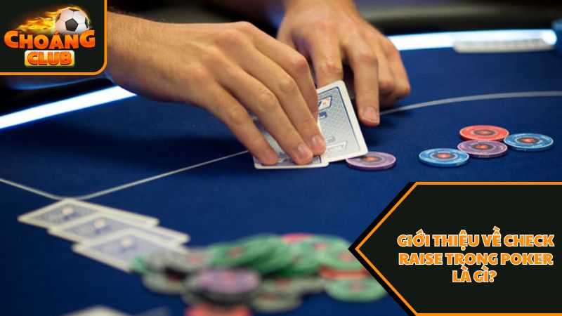 Thông tin mới nhất về check raise trong poker là gì ? 1 Vài nét giới thiệu về check raise trong poker là gì